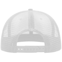 Snap Mesh