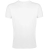 Regent Fit